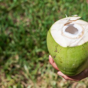 Água de coco pode substituir isotônico?