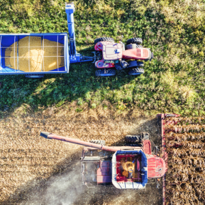 Crédito rural empresarial atinge R$ 391,2 bilhões no Plano Safra 2025/2026