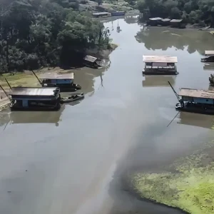Estudo revela evolução do garimpo ilegal e novas táticas de exploração