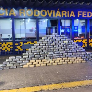 Motorista é preso após cão farejador localizar meia tonelada de 'skunk' em fundo falso de caminhão em MT