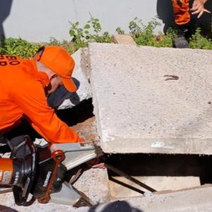 Filhotes de cachorro e gato são resgatados de bueiro e esgoto em MT