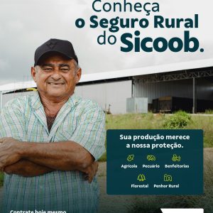 Seguro Rural do Sicoob evita prejuízo após tempestade destruir barracão