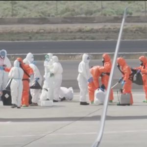 Hantavírus: hospital na Holanda isola 12 funcionários após contato com passageiro de navio