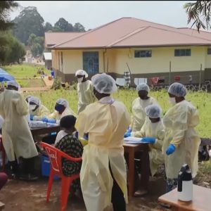 Novo surto de Ebola na África: o que (não) mudou em uma década?