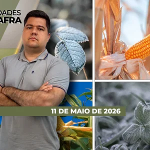 Fim de semana de temperaturas baixas causou geadas em Carazinho/RS e Pato Branco/PR