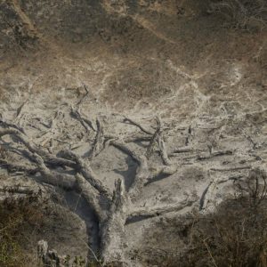Mudanças climáticas já afetam 85% dos brasileiros, diz pesquisa