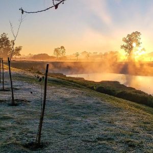 Massa de ar polar faz termômetros despencarem no Paraná