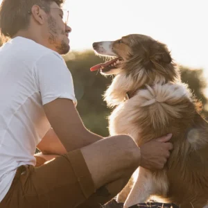 O que acontece no cérebro na relação tutor-cachorro? Ciência estuda