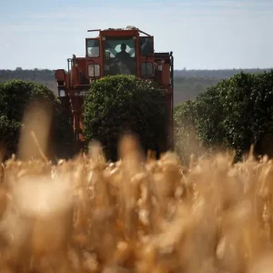 Empresas do agro registram salto na rotatividade de CEOs no Brasil