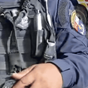 VÍDEO: briga de gatos ‘rouba’ cena durante entrevista de policial em Cuiabá