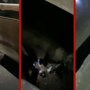 VÍDEO: mulher sofre queda de quase 15 metros após cair de ponte em MT