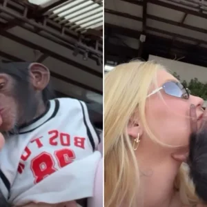 Vídeo de Virginia beijando macaco vira alvo de racismo contra Vini Jr.