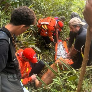 Mulher desaparecida há 6 dias é encontrada viva em garimpo na Terra Indígena Sararé