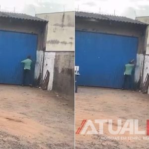 Homem invade empresa, destrói máquinas e deixa prejuízo após desavença comercial em Nova Mutum/MT; Veja vídeo