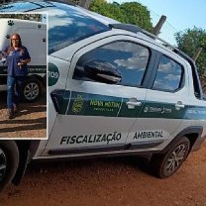 Após morte de três animais, tutor de pitbull é notificado e terá prazo para adequar imóvel em Nova Mutum | Power Mix