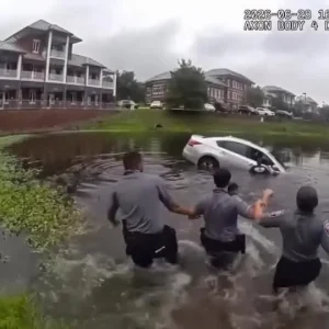 Vídeo: Socorristas salvam homem preso dentro de carro em lago nos EUA