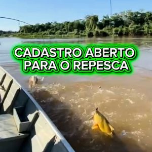 RENDA GARANTIDA PARA OS PESCADORES 

O GovMT segue apoiando os pescadores profis…