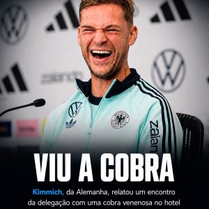 Um visitante inesperado no hotel da Alemanha!

Joshua Kimmich revelou que a del…