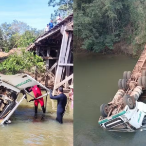 Motorista morre após carreta que transportava gado cair de ponte em Mato Grosso