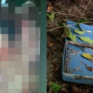 Homem é esquartejado após confessar em video que “gosta de criança”. VEJA