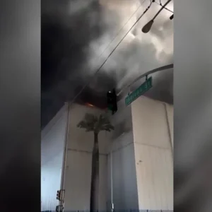 Prefeita decreta emergência após incêndio em armazém em Los Angeles