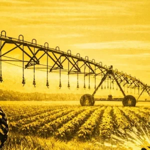 Reajuste da energia elétrica pressiona custos de produção no agronegócio