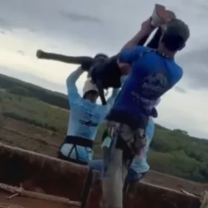 O que se sabe sobre jovem morta ao pular de rope jump sem corda em SP