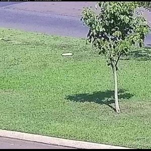 Câmera flagra criminoso furtando pertences de veículo de funcionária em Cuiabá; veja vídeo