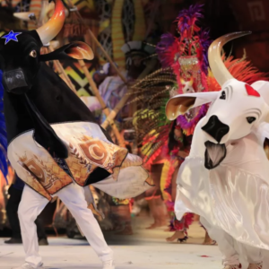 Festival de Parintins: como título é definido entre Caprichoso e Garantido