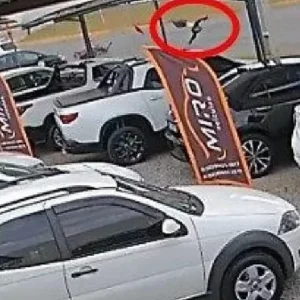 Batida entre motocicleta e carro deixa adolescente de 17 anos ferida; veja vídeo