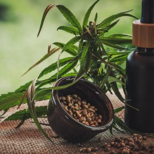 Projeto apoia mães e crianças atípicas tratadas à base de cannabis
