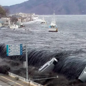 Estudo aponta que ondas sísmicas deslocaram o Japão