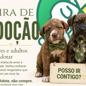 MT:feira de adoção de animais e cadastro de vacinas;veja como funciona
