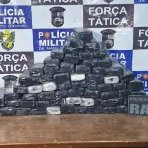 Força Tática apreende 66 quilos de maconha e causa prejuízo de R$ 300 mil ao crime