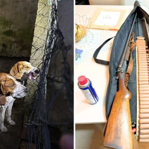 Caçadores ilegais envolvidos com tráfico de armas e animais são alvo de megaoperação policial no Paraná e outros dois estados