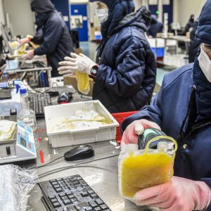 Projeto dispensa licitação para medicamentos produzidos pela Hemobrás