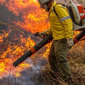 Governo repassa R$ 337 milhões para combate a incêndios e desmatamento