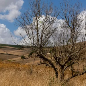 veja como proteger a saúde e enfrentar o clima seco