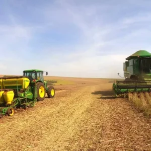 El Niño preocupa produtores do norte de Mato Grosso e aumenta temor de replantio da soja