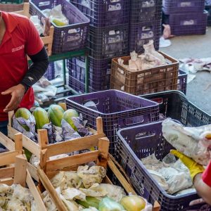 Governo anuncia crédito de R$ 97,3 bi para agricultores familiares