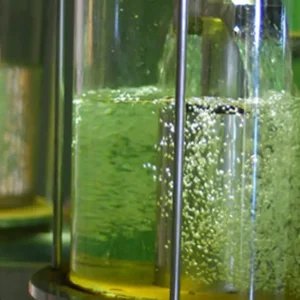 Inpasa quer captar R$ 1 bilhão para dobrar capacidade de produção de etanol em Sinop