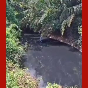 Situação de emergência é homologada em Mirassol d'Oeste (MT) após desastre ambiental em córrego