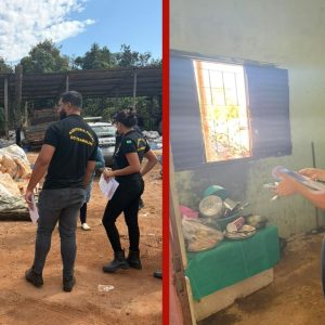 Restos de feira e choques elétricos: 5 pessoas são resgatadas de trabalho escravo em empresa de reciclagem em MT