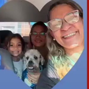 Cachorro que sofreu queimaduras em pet shop recebe alta