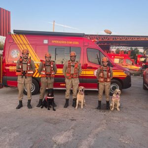 MT sedia evento de cães de busca e resgate; relembre animais que atuaram em salvamentos