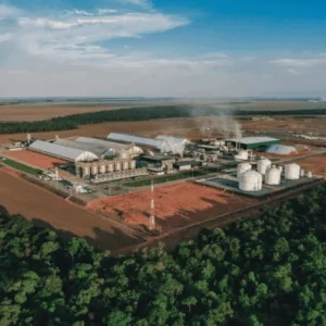 FS inicia construção de usina de R$ 2 bilhões em Querência • Olhar Direto