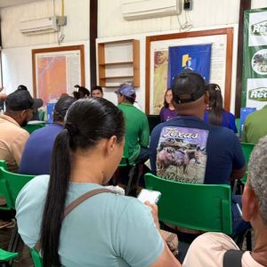 Mutirão beneficia moradores de Nova Califórnia | Tudo Rondônia