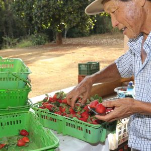 Finep vai pagar R$ 220 milhões para inovações em agricultura familiar 