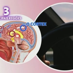Esqueça as promessas de Ano Novo: você pode ‘recomeçar’ a vida a qualquer momento e mudar seus hábitos de vez