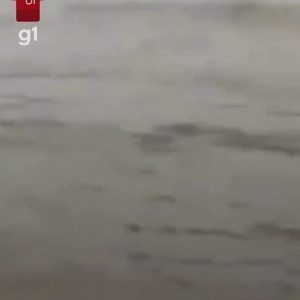 Vídeo: embarcação da Marinha afunda durante festival de pesca em Cáceres (MT)